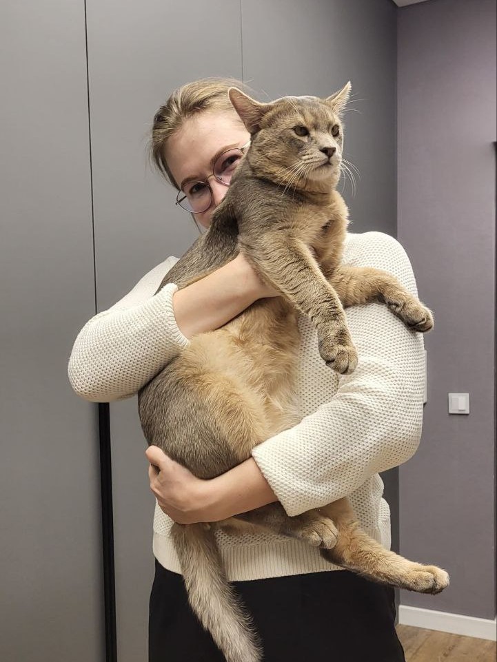 A25 — Blue Ticked Tabby